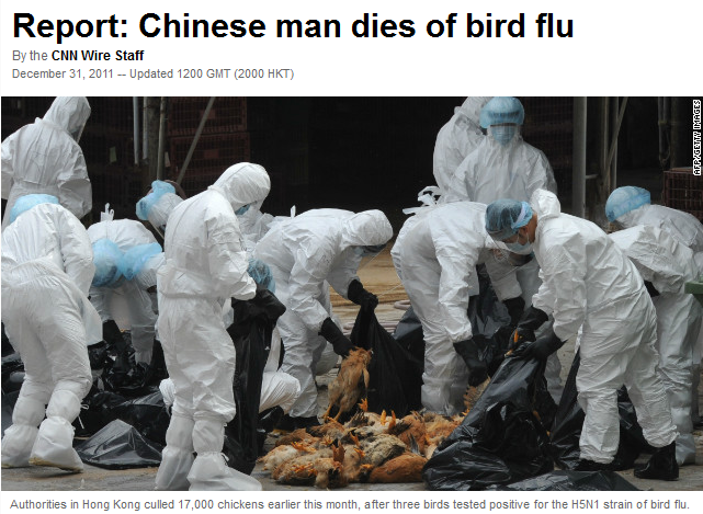 bird_flu